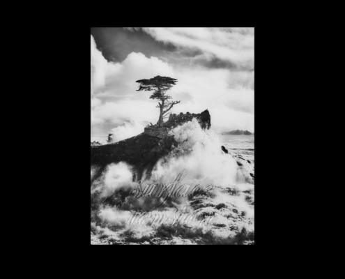 Resin artwork collaboration between Lucky Rapp and Jeannine Henebry titled "surface tension"